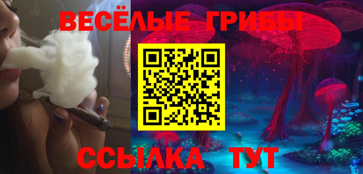 Псилоцибиновые грибы Psilocybe Гудермес