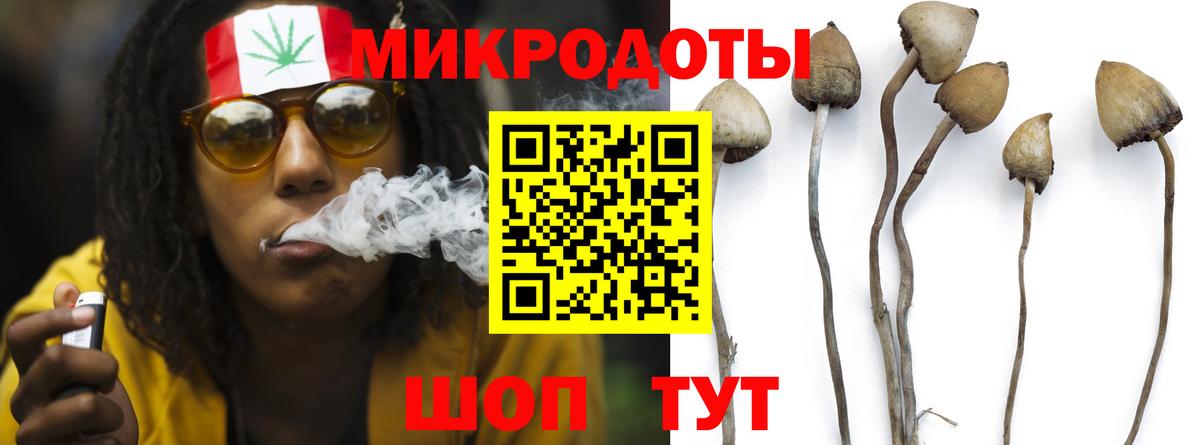 Галлюциногенные грибы мицелий  даркнет сайт  Гудермес  Вход с VPN 